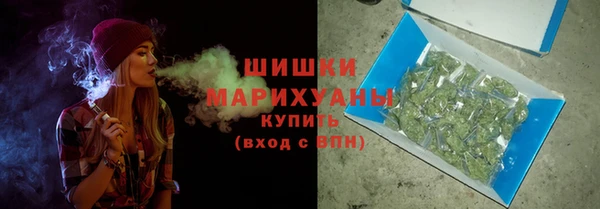 бошки Няндома