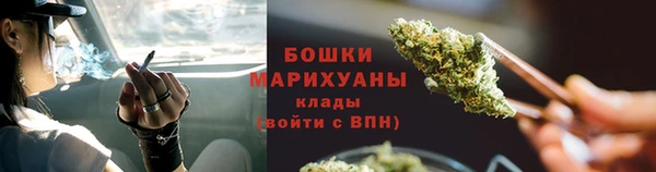 бошки Няндома