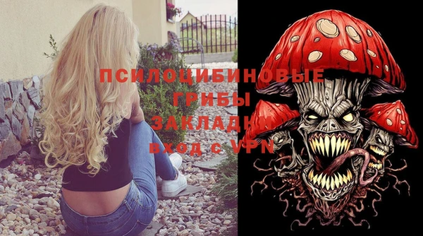 spice Нягань