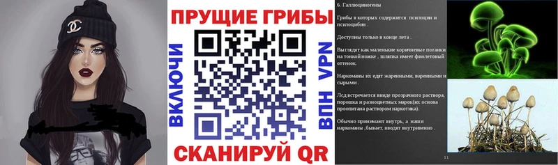Галлюциногенные грибы прущие грибы  Купить где  Называевск 